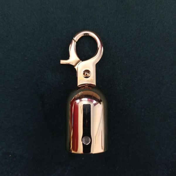 Hook for fastening a rope